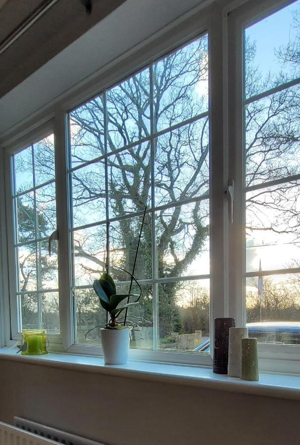 Ha'Penny Acre Bed and Breakfast Sherfield English Eksteriør billede